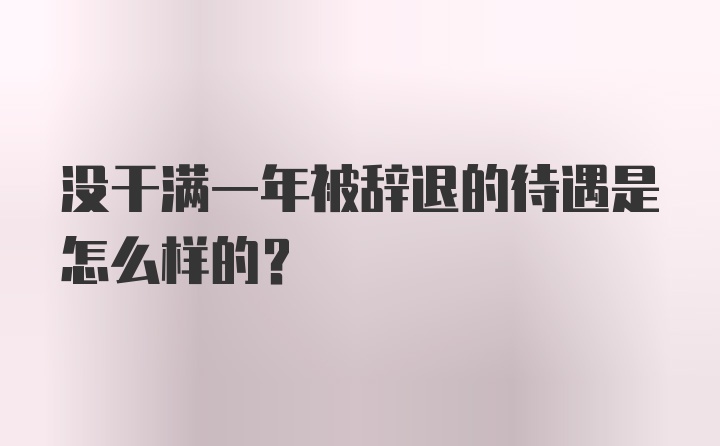 没干满一年被辞退的待遇是怎么样的？