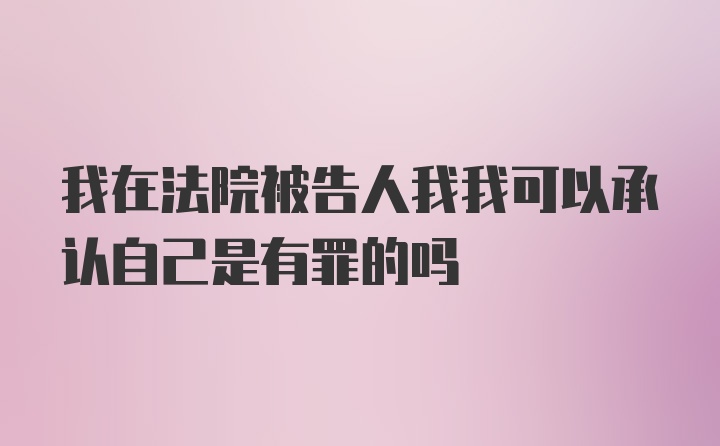 我在法院被告人我我可以承认自己是有罪的吗