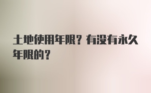 土地使用年限？有没有永久年限的？