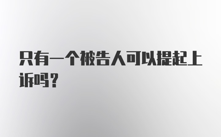 只有一个被告人可以提起上诉吗?