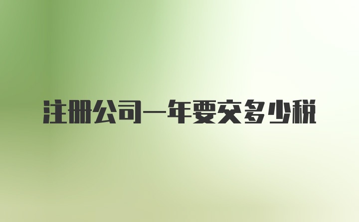 注册公司一年要交多少税