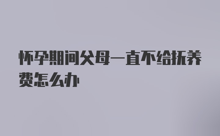 怀孕期间父母一直不给抚养费怎么办