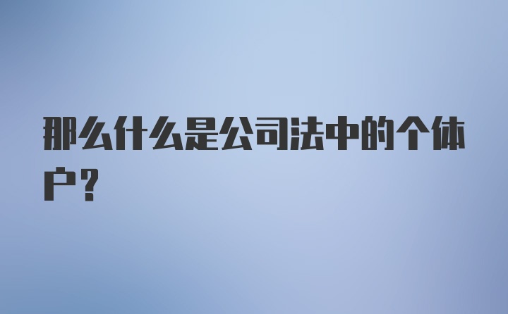 那么什么是公司法中的个体户？