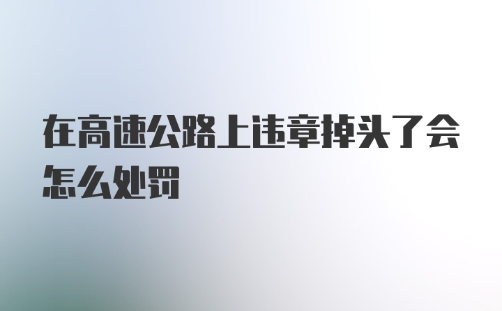 在高速公路上违章掉头了会怎么处罚