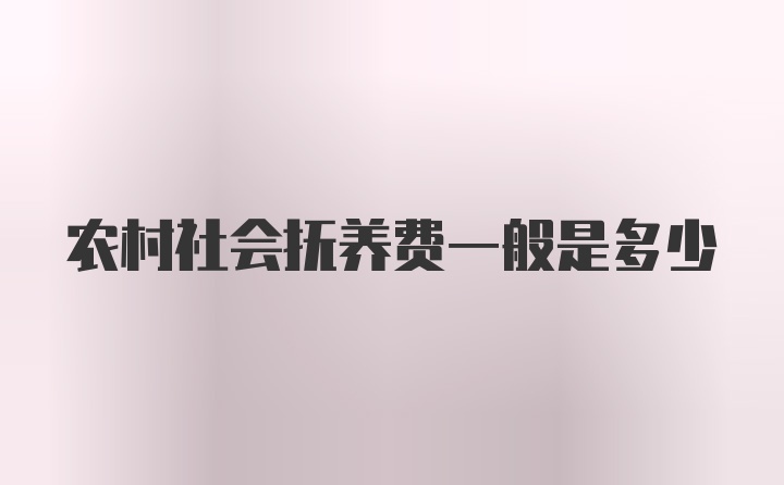 农村社会抚养费一般是多少