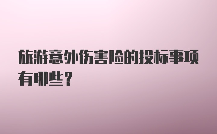 旅游意外伤害险的投标事项有哪些?