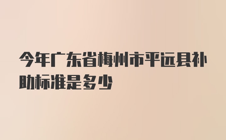 今年广东省梅州市平远县补助标准是多少