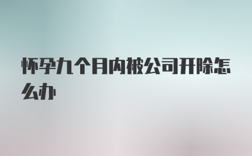 怀孕九个月内被公司开除怎么办