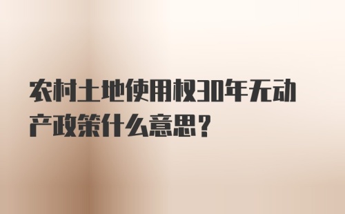 农村土地使用权30年无动产政策什么意思？