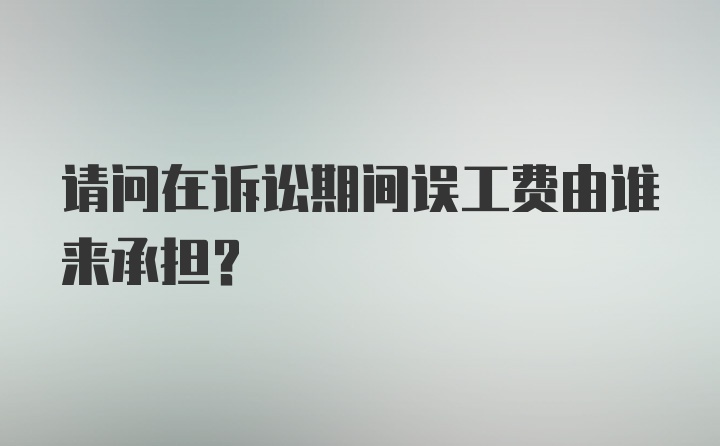 请问在诉讼期间误工费由谁来承担？