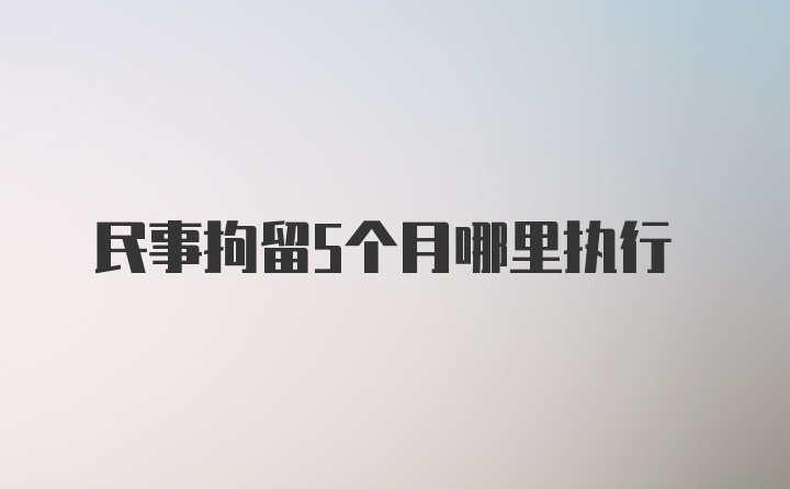 民事拘留5个月哪里执行