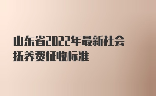 山东省2022年最新社会抚养费征收标准