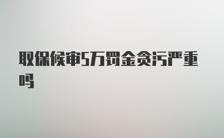 取保候审5万罚金贪污严重吗