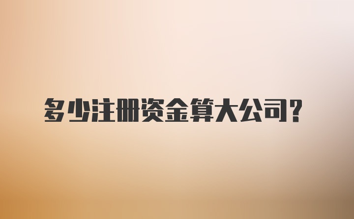 多少注册资金算大公司？