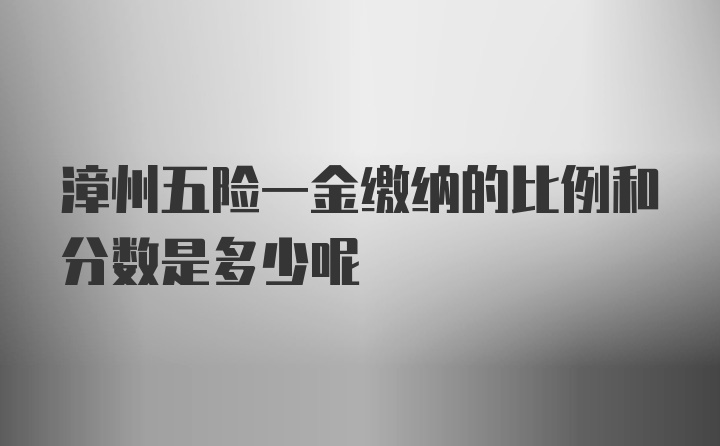 漳州五险一金缴纳的比例和分数是多少呢