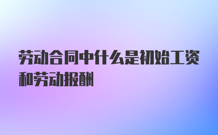 劳动合同中什么是初始工资和劳动报酬