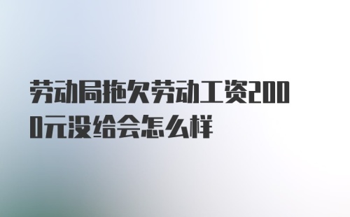 劳动局拖欠劳动工资2000元没给会怎么样