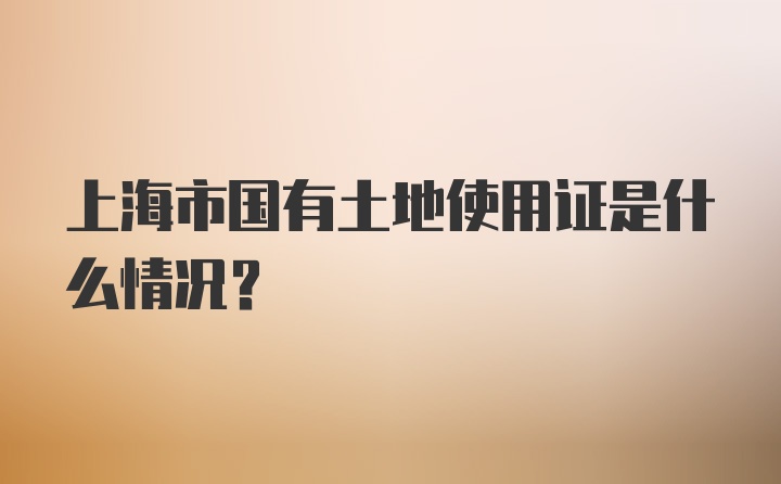 上海市国有土地使用证是什么情况?