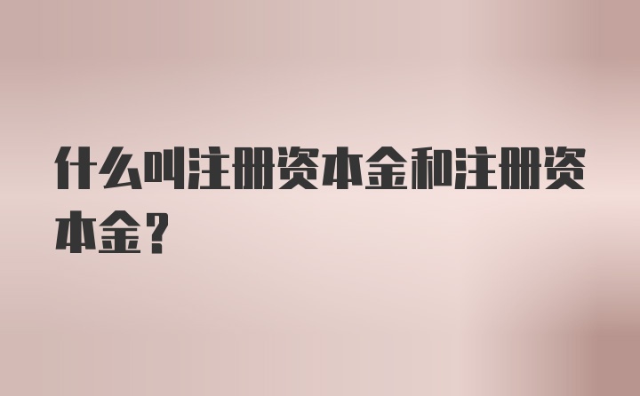 什么叫注册资本金和注册资本金？