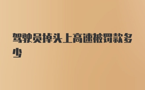 驾驶员掉头上高速被罚款多少