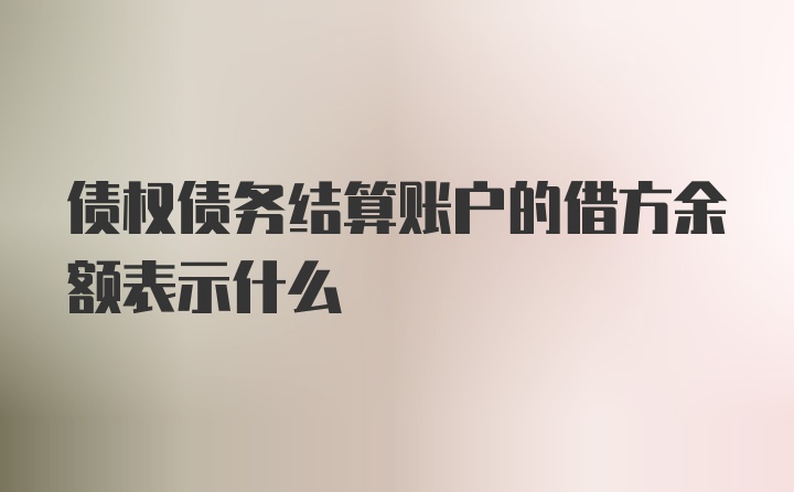 债权债务结算账户的借方余额表示什么