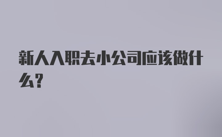 新人入职去小公司应该做什么？