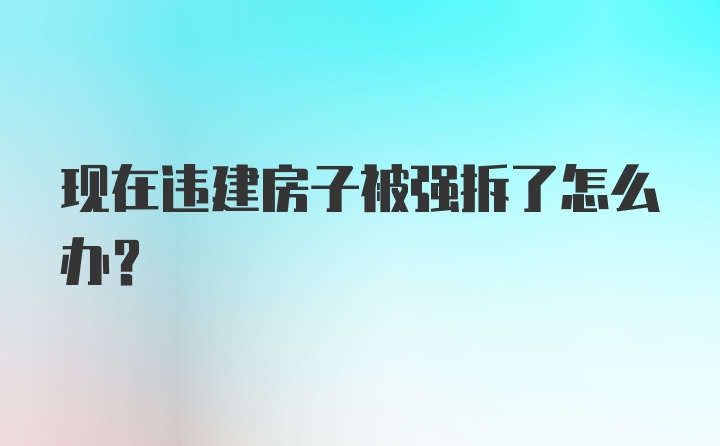 现在违建房子被强拆了怎么办？