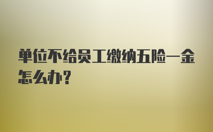 单位不给员工缴纳五险一金怎么办？