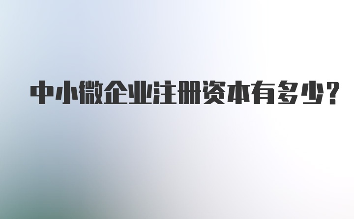 中小微企业注册资本有多少？