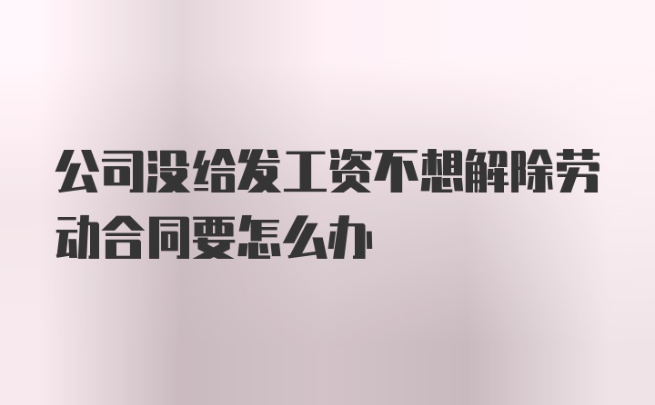 公司没给发工资不想解除劳动合同要怎么办