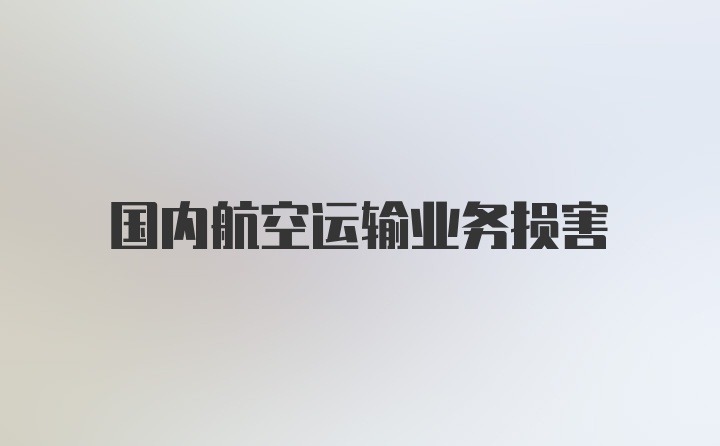 国内航空运输业务损害