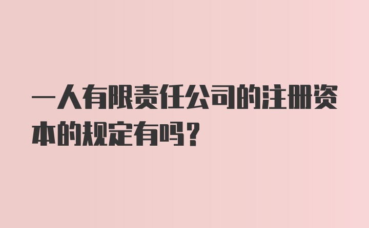 一人有限责任公司的注册资本的规定有吗？