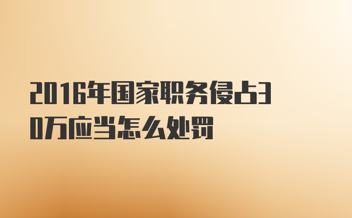 2016年国家职务侵占30万应当怎么处罚