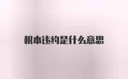 根本违约是什么意思