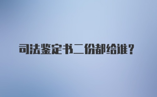 司法鉴定书二份都给谁？