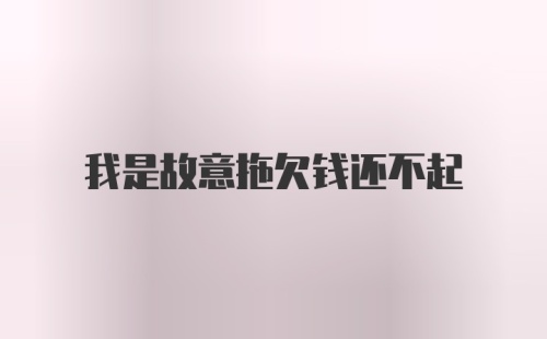 我是故意拖欠钱还不起