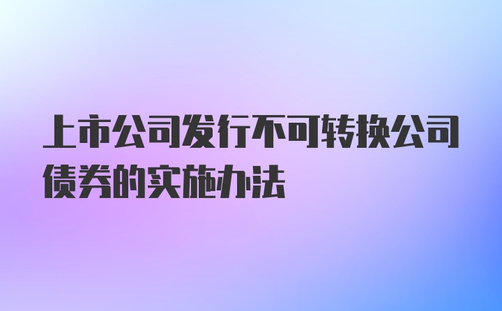 上市公司发行不可转换公司债券的实施办法