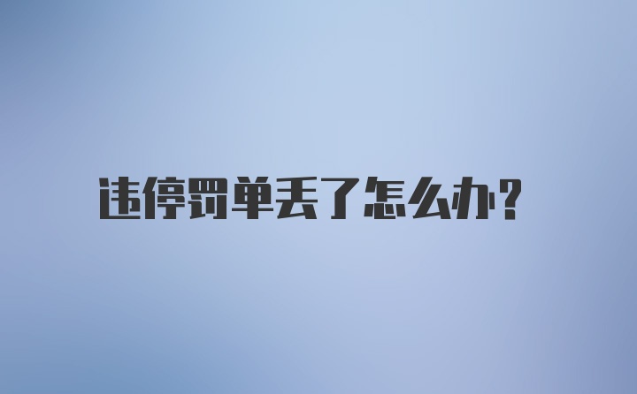 违停罚单丢了怎么办？