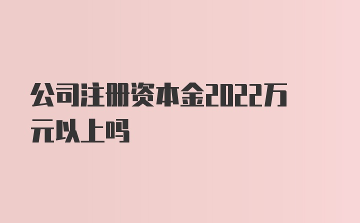 公司注册资本金2022万元以上吗