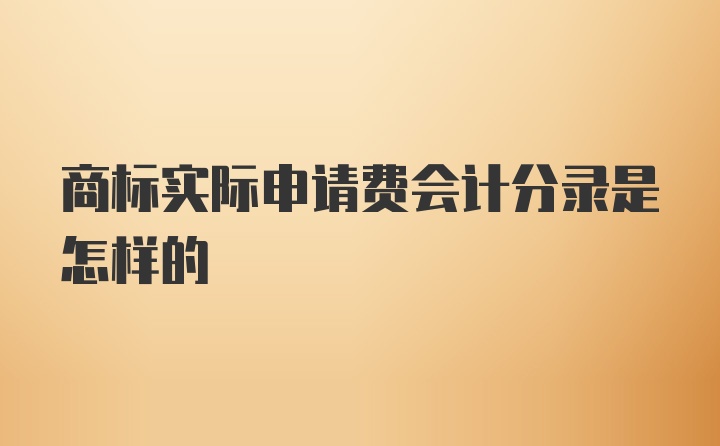 商标实际申请费会计分录是怎样的