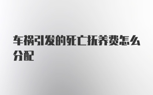 车祸引发的死亡抚养费怎么分配