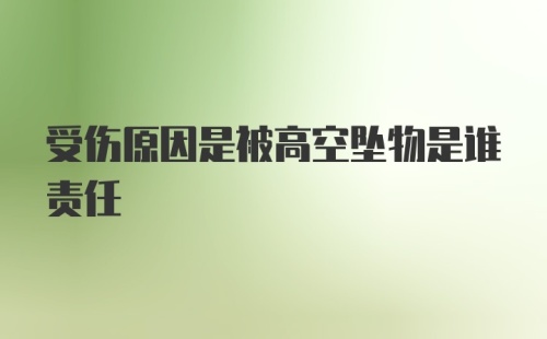 受伤原因是被高空坠物是谁责任