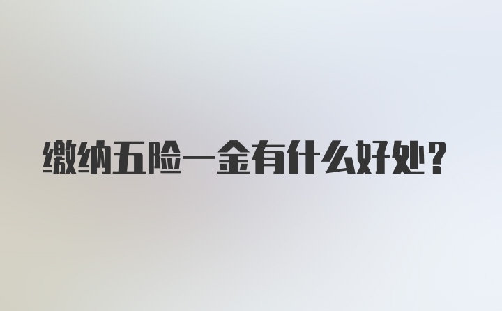 缴纳五险一金有什么好处?