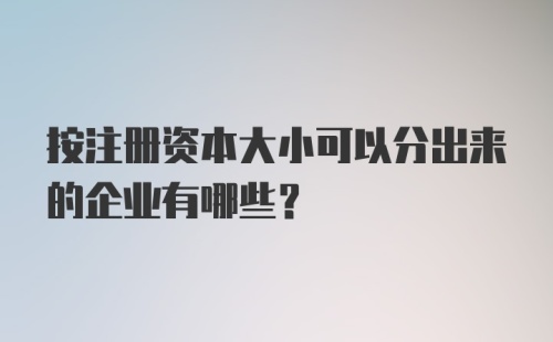 按注册资本大小可以分出来的企业有哪些?