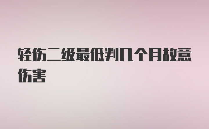 轻伤二级最低判几个月故意伤害