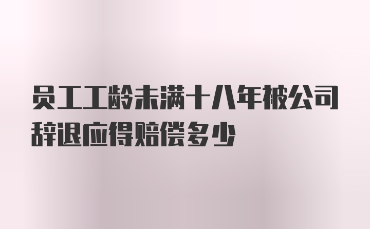 员工工龄未满十八年被公司辞退应得赔偿多少