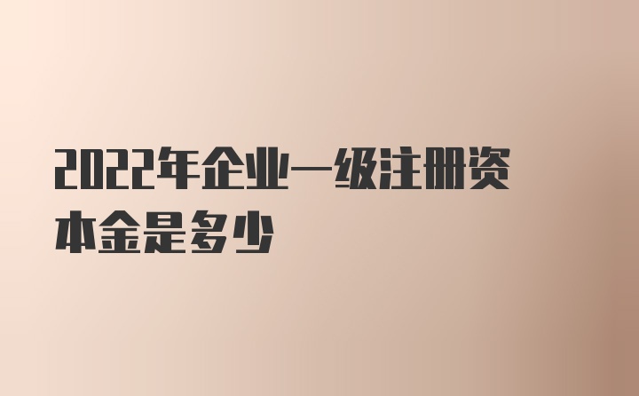 2022年企业一级注册资本金是多少