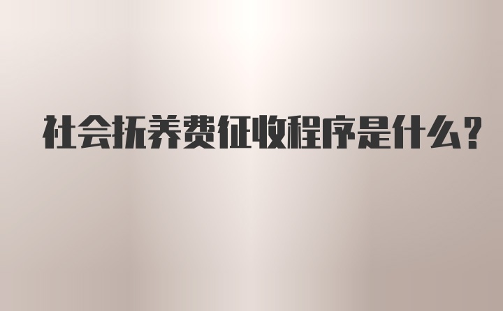 社会抚养费征收程序是什么？