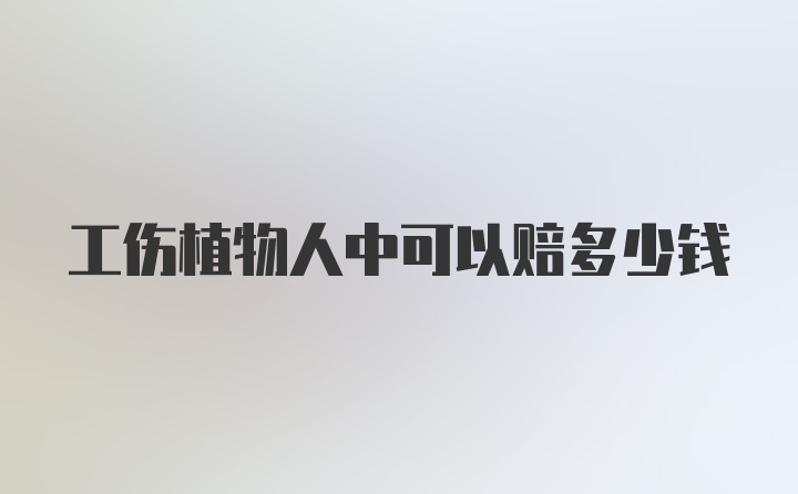 工伤植物人中可以赔多少钱