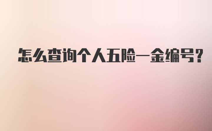 怎么查询个人五险一金编号?